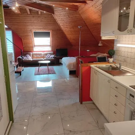 Apartmán Joel Swiss *