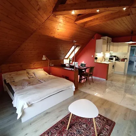 Apartment Joel Swiss *