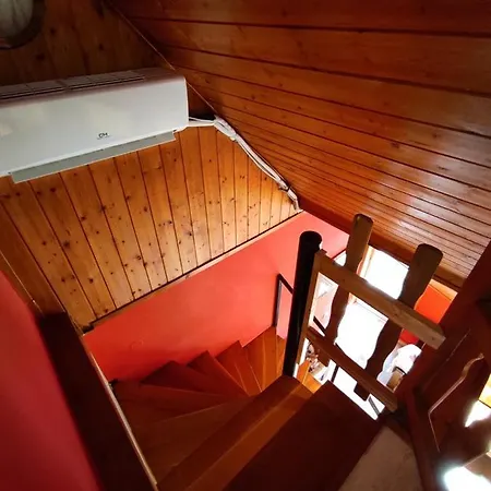 Joel Swiss * Keszthely