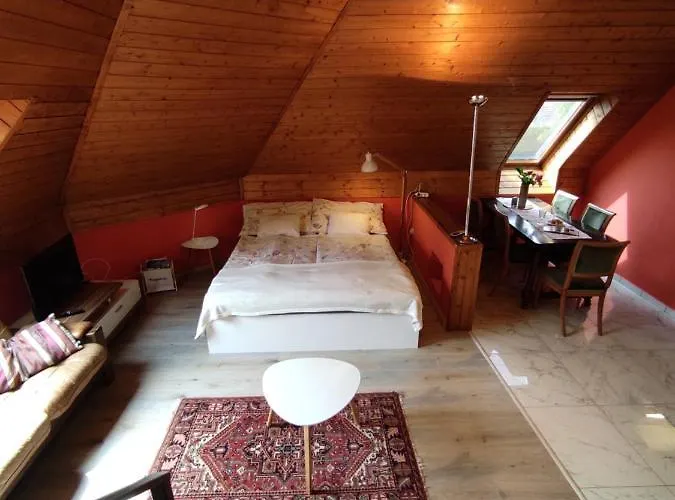 Joel Swiss Apartment